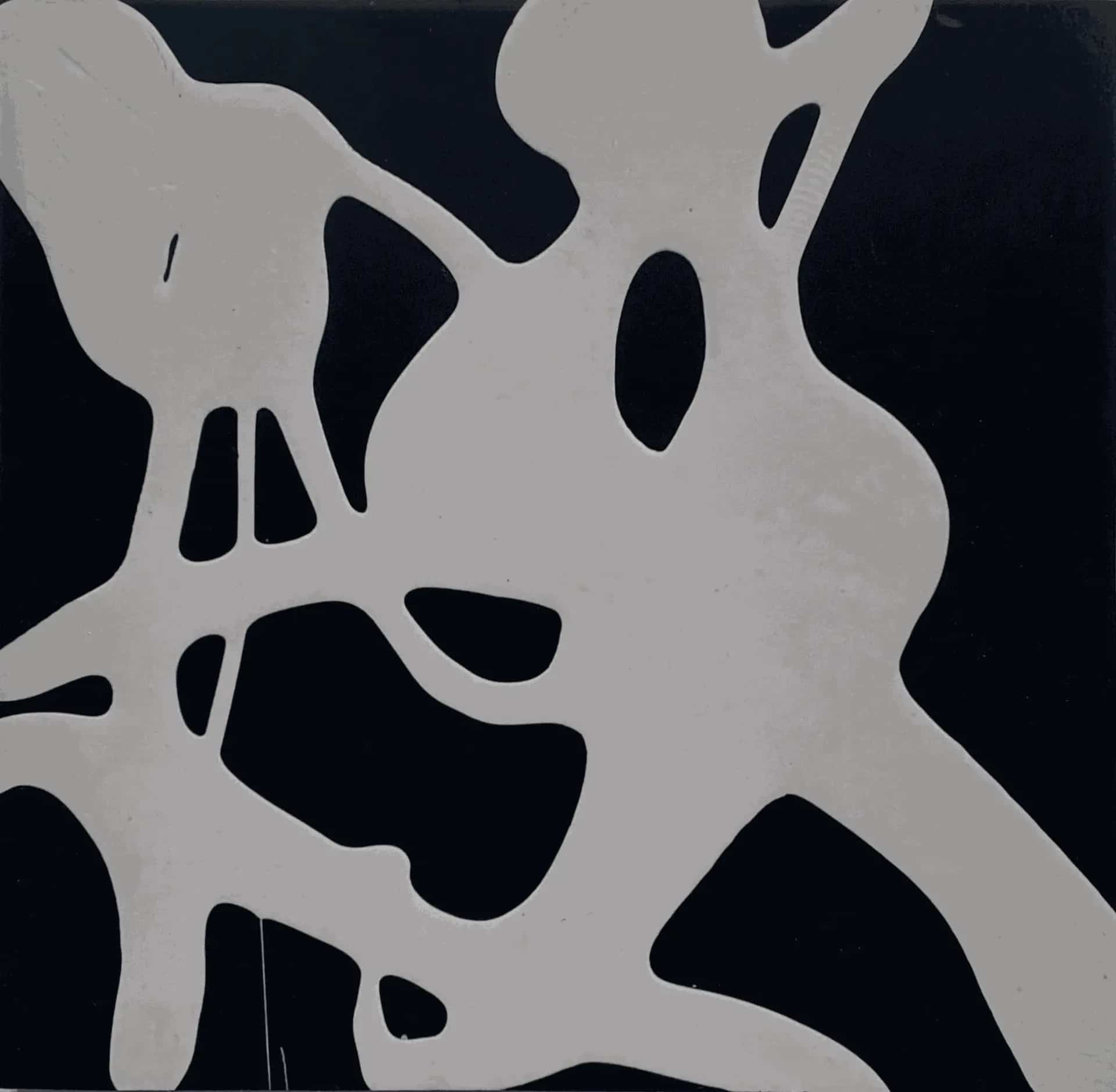 Het kunstwerk De zwangere vrouw: witte, organisch uitlopende vormen op een diepzwart vlak.