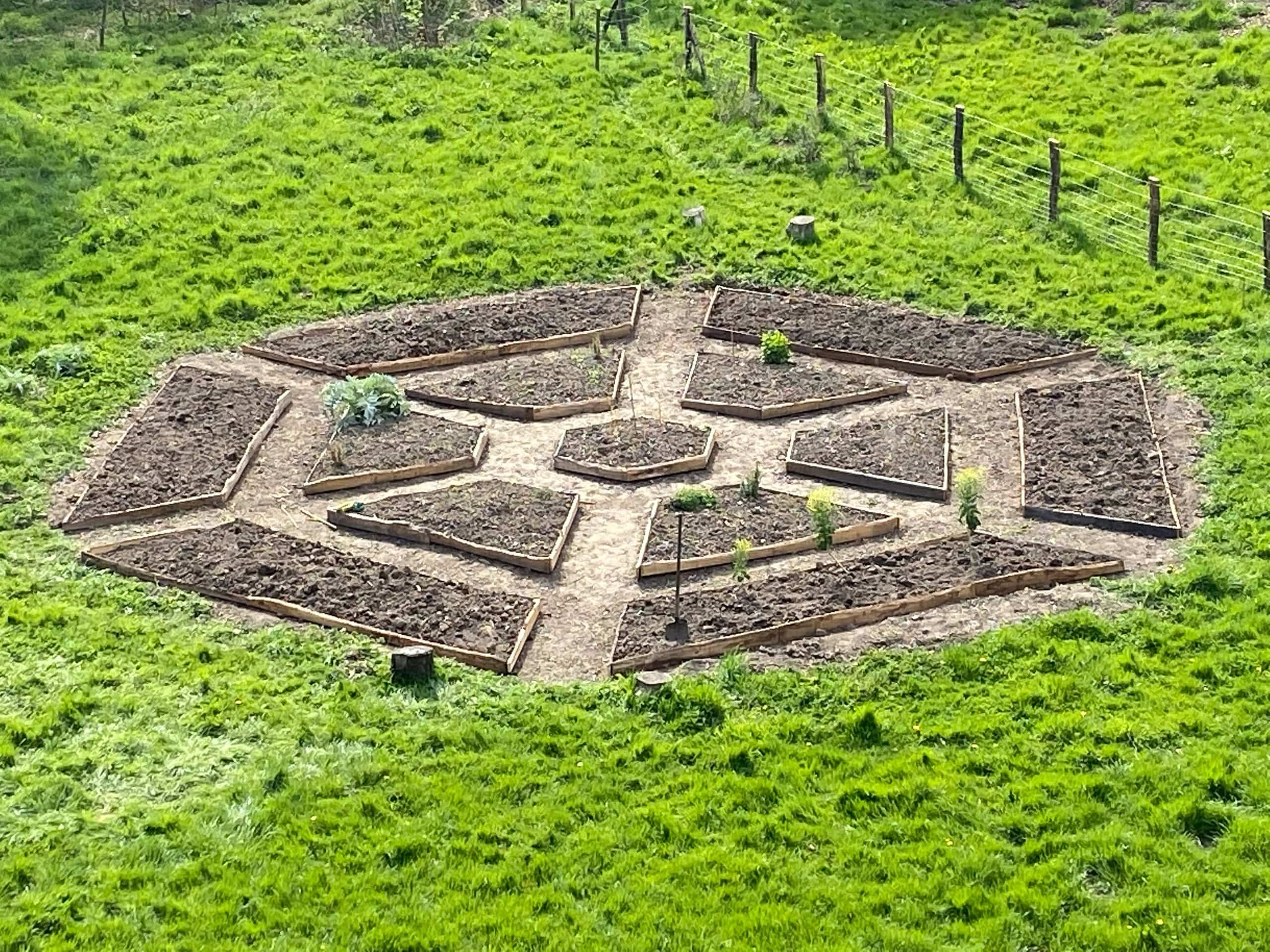 Van boven gezien: aangelegde teeltbedden in een geometrisch patroon, midden in een weide.